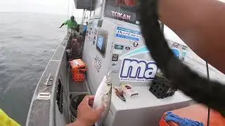 E-jigging shimano forcemaster 601