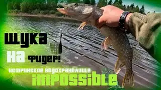 Щука на фидер!! Рыбалка на реке Истра, Истринское водохранилище   Московская область