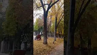 Алматы. Осень 2023