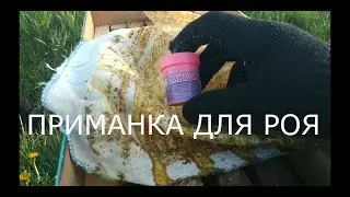 Если ты не Видел Этого Видео то ТЫ НЕ ПОЙМАЕШЬ РОЙ ПЧЁЛ!