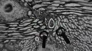 Crawl Through a Mouse Brain