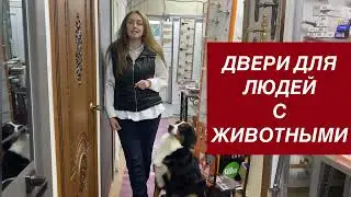Антивандальные двери межкомнатные. Защита дверей от животных. Магазин Время дверей г. Химки.