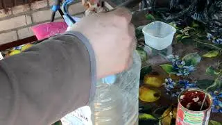 Высадка рассады от и до