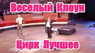 Цирк Лучшее | Веселый Клоун | Лучшие номера сезона 2023 - 2024 в Гомельском цирке | Цирк Гомель 2023