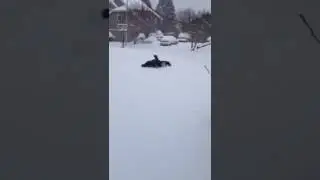80 year old man s face plant in the snow!
