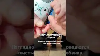 Паразиты микроскоп