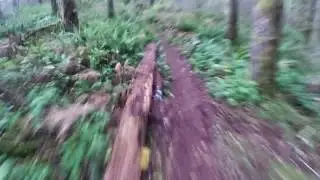 WhyPass Don Sled Bumpy version 11 2016