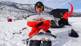 Ice Fishing for KOKANEE on Monte Lake
