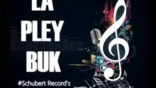 La pley buk - YA NO ESTAS..   (tema inedito)