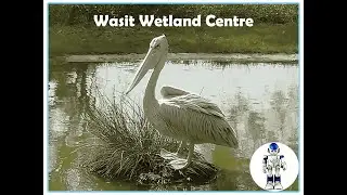 An Amazing Trip To Wasit Wetland Centre | ROBO PHOENIX