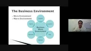 The Role of Business in the Environment and how Environment affects the firm