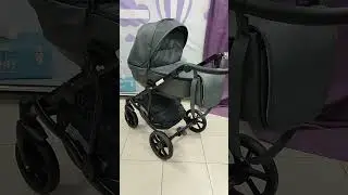 Модульная Коляска Ray Stars графит