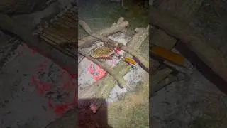 Нічна риболовля !!!