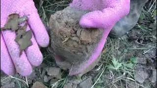 НАШЛА НЕОБЫЧНЫЙ КЛАД.