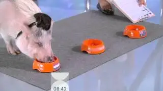 Предсказательница Нюша. Прогнозы сбываются!