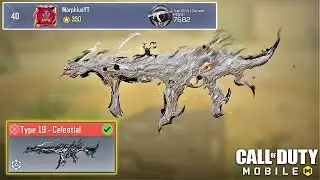 I m on Weapon Leaderboard with This Type 19 