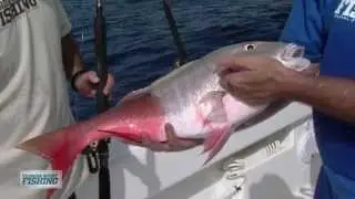 Bahamas Reef Fishing Deep Dropping