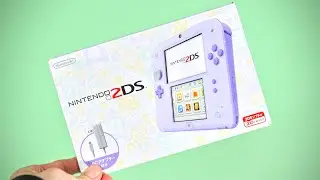 This Nintendo 2DS is 2 Damn Stunning
