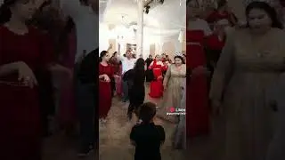 цыганское сватовство Давида и Рая