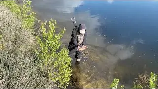 ручной карась Валера