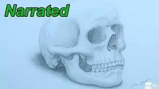 How To Draw A Skull - Drawing Human Anatomy (Narrated)
