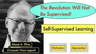 Self-supervised vision