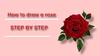 How to draw a rose step by step
