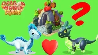 Dragon Mania Legends | Gameplay Walkthrough Part 395 | Breed Dragon