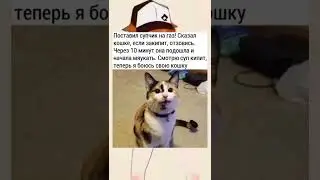 Мем (?)