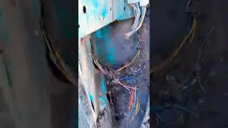 мыши