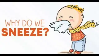 Why Do We Sneeze?? Basic Fun Facts