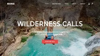 How Do I Create a Travel Agency or Tour Booking Website in WordPress?