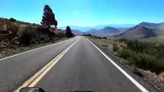 Monitor Pass - Summer 2022