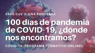 100 días de pandemia de COVID-19: ¿dónde nos encontramos? - Dr. JM. Miró