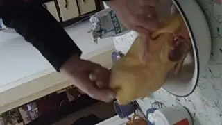 Подготовка утки к приготовлению в гусятнице