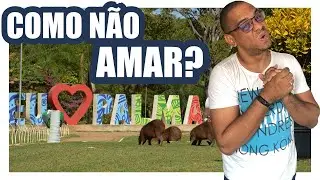 Conhecendo PALMAS-TO, a cidade inspirada em BRASÍLIA, com POUCAS HORAS | EP #083