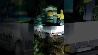 кочевка с альпийскими ульями