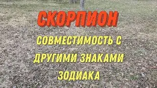 СКОРПИОН. Характеристика скорпиона. Совместимость скорпиона с другими знаками зодиака