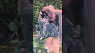 Die große Frage der Fragen – „Hansa oder Karlsquell?“ DJ HUNDEFRIEDHOF 13.9.2024 Hamburg, Hafenklang