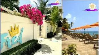 The Fred   St. Croix, Best Resort with  private beach facing the  Caribbean Sea #stcroix #caribbean