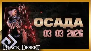 ОСАДА 03.03.2026 