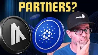 Are Algorand and Cardano about to form a partnership?