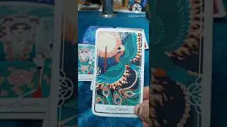 Pisces July August September Predictions Phoenix Is Rising, Tarot Reading