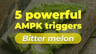 Discover the power of Bitter Melon for blood sugar and metabolism! | Nation Health MD #gluco24