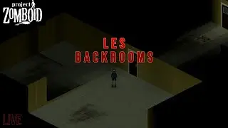 Je suis bloqué dans les BACKROOMS ! #Projectzomboid