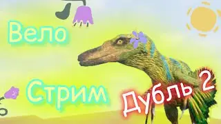 Вело стрим дубль 2