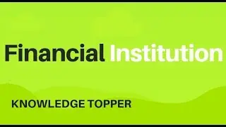 Financial Institutions | Financial Markets By Knowledge Topper (Urdu/Hindi)