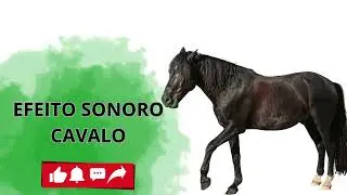 EFEITO SONORO  CAVALO-RELINCHANDO