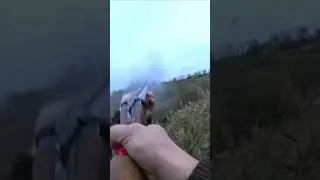 охота на утку с подхода# shorts