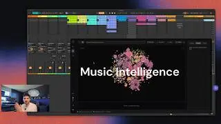 Find Samples Faster & Organize Ableton Projects | Vibseek Studio Demo